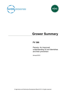Grower Summary FV 366 Parsnip: An Improved understanding of root blemishes