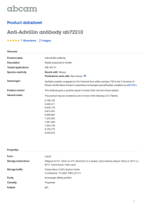 Anti-Advillin antibody ab72210 Product datasheet 1 Abreviews 2 Images