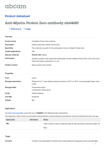 Anti-Myelin Protein Zero antibody ab64685 Product datasheet 1 References 1 Image
