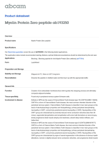 Myelin Protein Zero peptide ab193250 Product datasheet Overview Product name