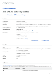 Anti-SAP102 antibody ab3438 Product datasheet 2 Abreviews 2 Images