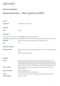Human Musashi 1 / Msi1 peptide ab23870 Product datasheet Overview Product name