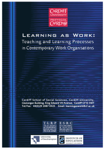 Learning as Work: Teaching and Learning Processes in Contemporary Work Organisations