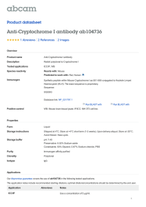 Anti-Cryptochrome I antibody ab104736 Product datasheet 1 Abreviews 2 Images