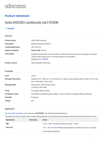 Anti-DUOX2 antibody ab170308 Product datasheet 2 Images Overview