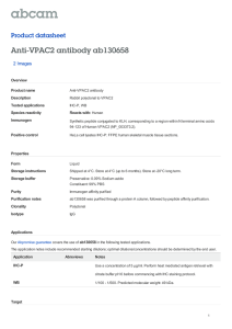 Anti-VPAC2 antibody ab130658 Product datasheet 2 Images Overview