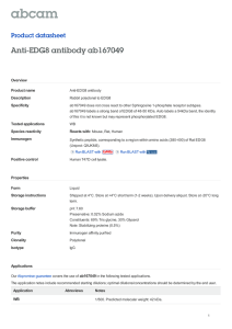 Anti-EDG8 antibody ab167049 Product datasheet Overview Product name