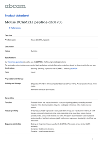 Mouse DCAMKL1 peptide ab31703 Product datasheet 1 References Overview