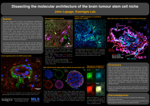 Dissecting the molecular architecture of the brain tumour stem cell... John Lapage, Koentges Lab Abstract Reclassifying tumour vessels