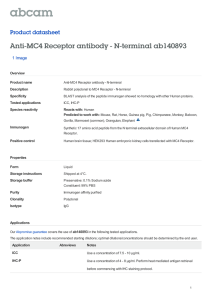Anti-MC4 Receptor antibody - N-terminal ab140893 Product datasheet 1 Image Overview