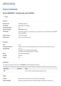 Anti-NMUR1 antibody ab126961 Product datasheet 1 Image Overview