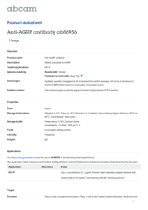 Anti-AGRP antibody ab86956 Product datasheet 1 Image
