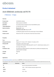 Anti-SEMA4A antibody ab70178 Product datasheet 2 References 4 Images