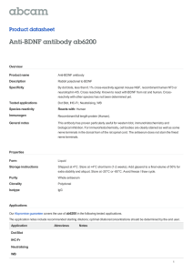 Anti-BDNF antibody ab6200 Product datasheet Overview Product name