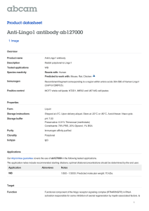 Anti-Lingo1 antibody ab127000 Product datasheet 1 Image
