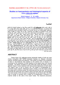 ةصلاخلا Studies on haemopoiesis and histological aspects of spleen