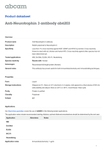 Anti-Neurotrophin 3 antibody ab6203 Product datasheet Overview Product name