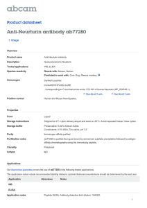 Anti-Neurturin antibody ab77280 Product datasheet 1 Image