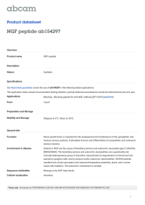 NGF peptide ab154297 Product datasheet Overview Product name