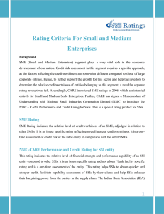 Rating Criteria For Small and Medium Enterprises