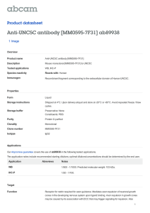 Anti-UNC5C antibody [MM0595-7F31] ab89938 Product datasheet 1 Image Overview