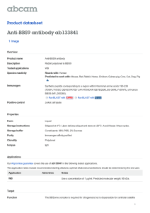 Anti-BBS9 antibody ab133841 Product datasheet 1 Image