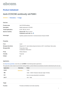 Anti-CCDC80 antibody ab75881 Product datasheet 1 Abreviews 1 Image