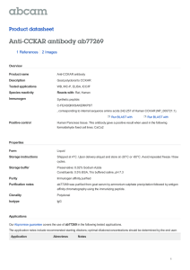 Anti-CCKAR antibody ab77269 Product datasheet 1 References 2 Images