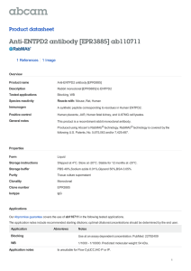 Anti-ENTPD2 antibody [EPR3885] ab110711 Product datasheet 1 References 1 Image