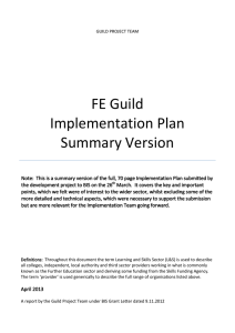 FE Guild Implementation Plan Summary Version