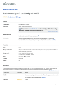 Anti-Neuroligin 2 antibody ab36602 Product datasheet 2 Abreviews 2 Images