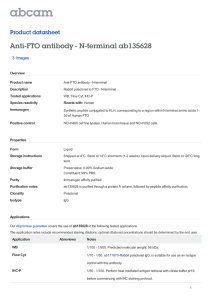 Anti-FTO antibody - N-terminal ab135628 Product datasheet 3 Images Overview