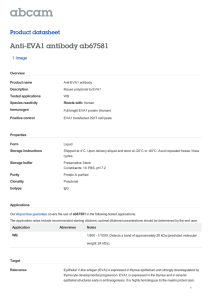 Anti-EVA1 antibody ab67581 Product datasheet 1 Image