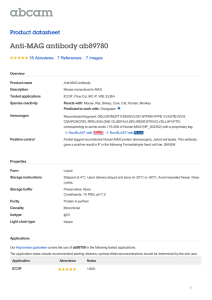 Anti-MAG antibody ab89780 Product datasheet 18 Abreviews 7 Images