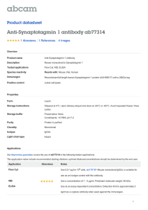Anti-Synaptotagmin 1 antibody ab77314 Product datasheet 1 Abreviews 4 Images