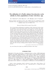 Oncorhynchus nerka Salvelinus Journal of Fish Biology
