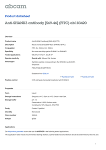 Anti-SHANK3 antibody [S69-46] (FITC) ab183420 Product datasheet Overview Product name