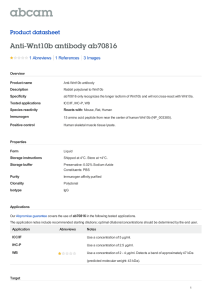 Anti-Wnt10b antibody ab70816 Product datasheet 1 Abreviews 3 Images