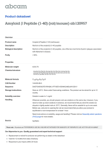 Amyloid Peptide (1-40) (rat/mouse) ab120957 β Product datasheet