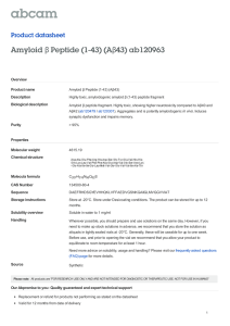 Amyloid Peptide (1-43) (A 43) ab120963 β
