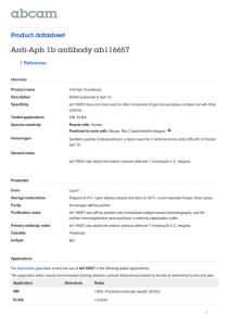 Anti-Aph 1b antibody ab116657 Product datasheet 1 References Overview
