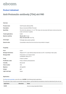 Anti-Proinsulin antibody [7D6] ab1980 Product datasheet Overview Product name