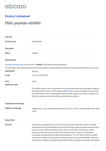 FE65 peptide ab5892 Product datasheet Overview Product name