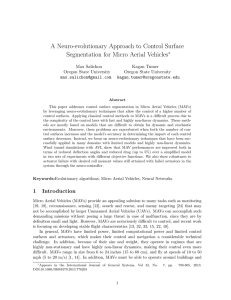 A Neuro-evolutionary Approach to Control Surface Segmentation for Micro Aerial Vehicles