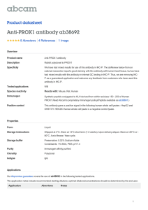Anti-PROX1 antibody ab38692 Product datasheet 8 Abreviews 1 Image