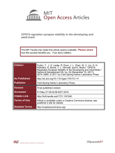 CPG15 regulates synapse stability in the developing and adult brain Please share