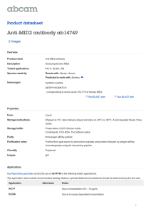 Anti-MID2 antibody ab14749 Product datasheet 2 Images