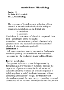 metabolism of Microbiology