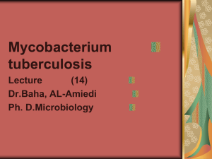 Mycobacterium  tuberculosis Lecture          ...