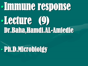 • Immune response Lecture   (9) Dr.Baha,Hamdi.AL-Amiedie